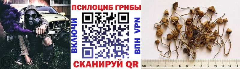 продажа наркотиков  МЕГА ONION  Псилоцибиновые грибы мухоморы  Нахабино 